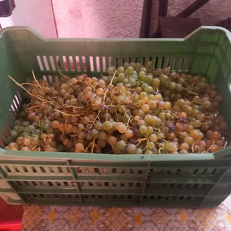 Appartement Casa Marcella