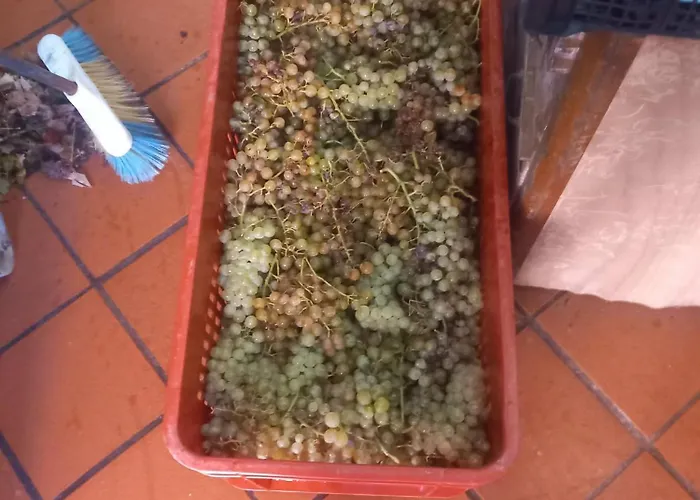 Casa Marcella La Spezia