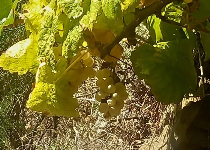 Appartement Casa Marcella *