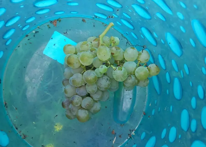 Casa Marcella Appartement