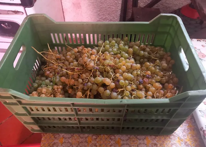 Appartement Casa Marcella