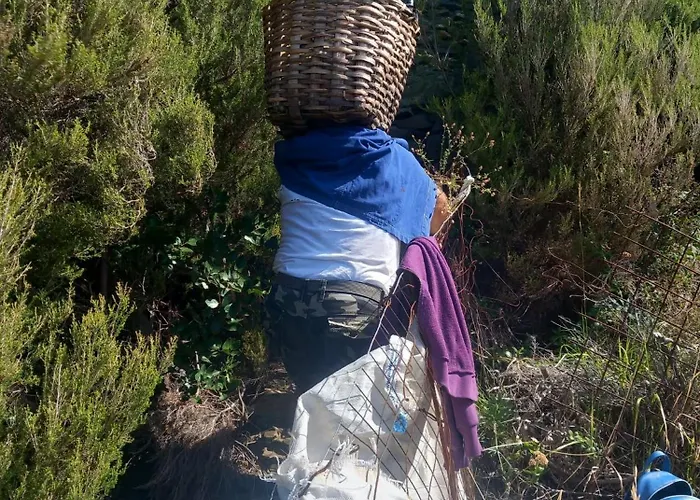 Casa Marcella La Spezia