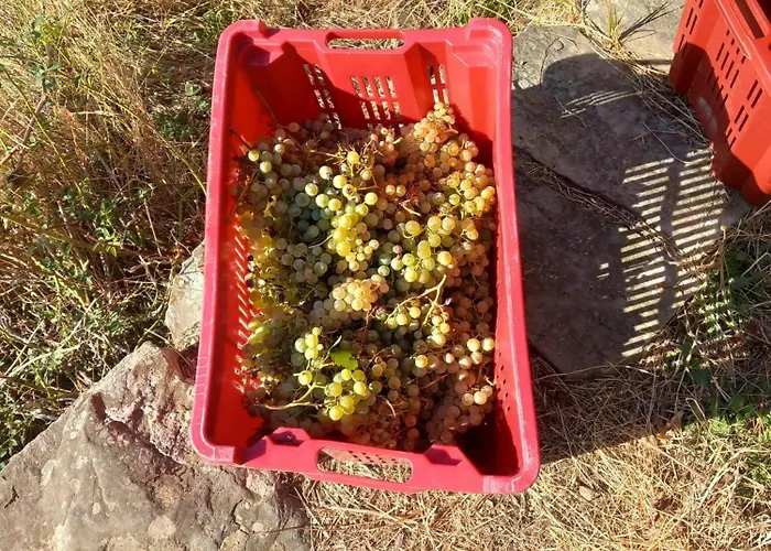 Casa Marcella La Spezia