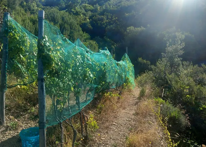 Appartement Casa Marcella *