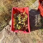 Casa Marcella لا سبيتسْيا