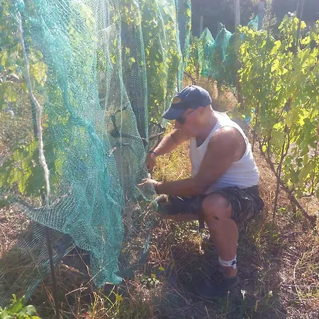 Casa Marcella *