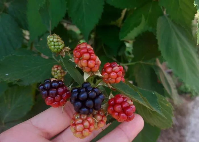 Casa Marcella Апартаменты Специя